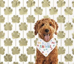 Birthday Dog Bandana - Pawty Animal