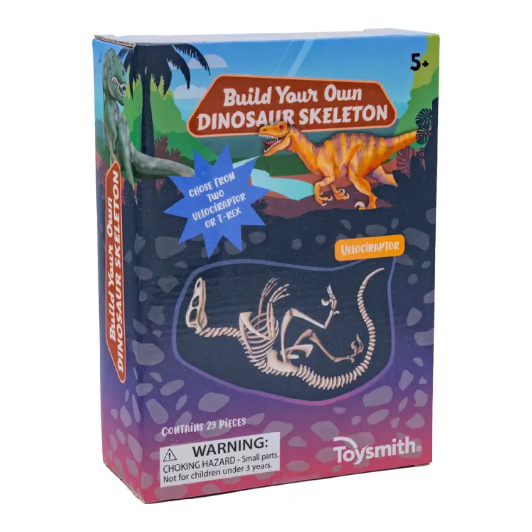 Build Your Own Skeleton Dinoasour
