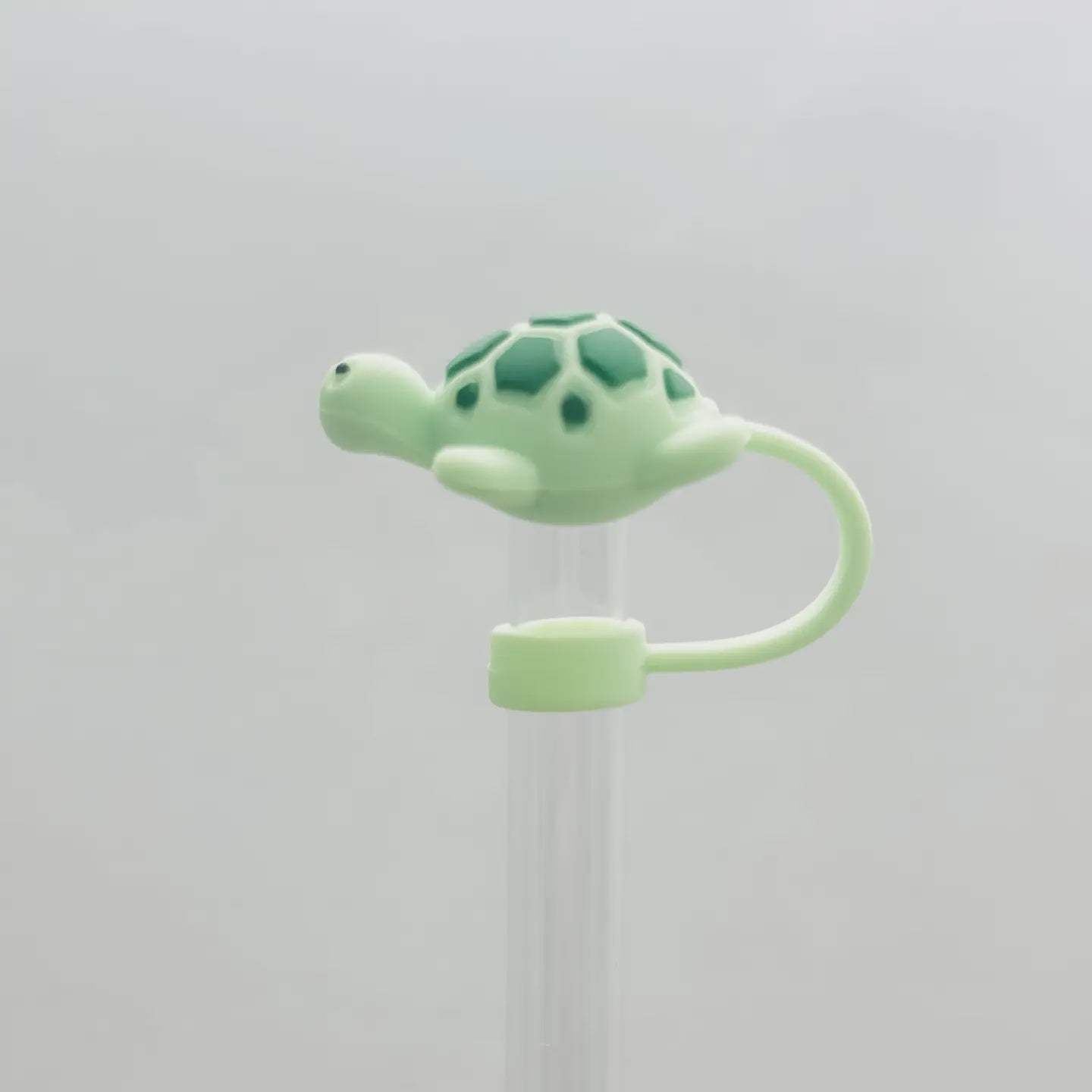Straw Cover Sea Turtle