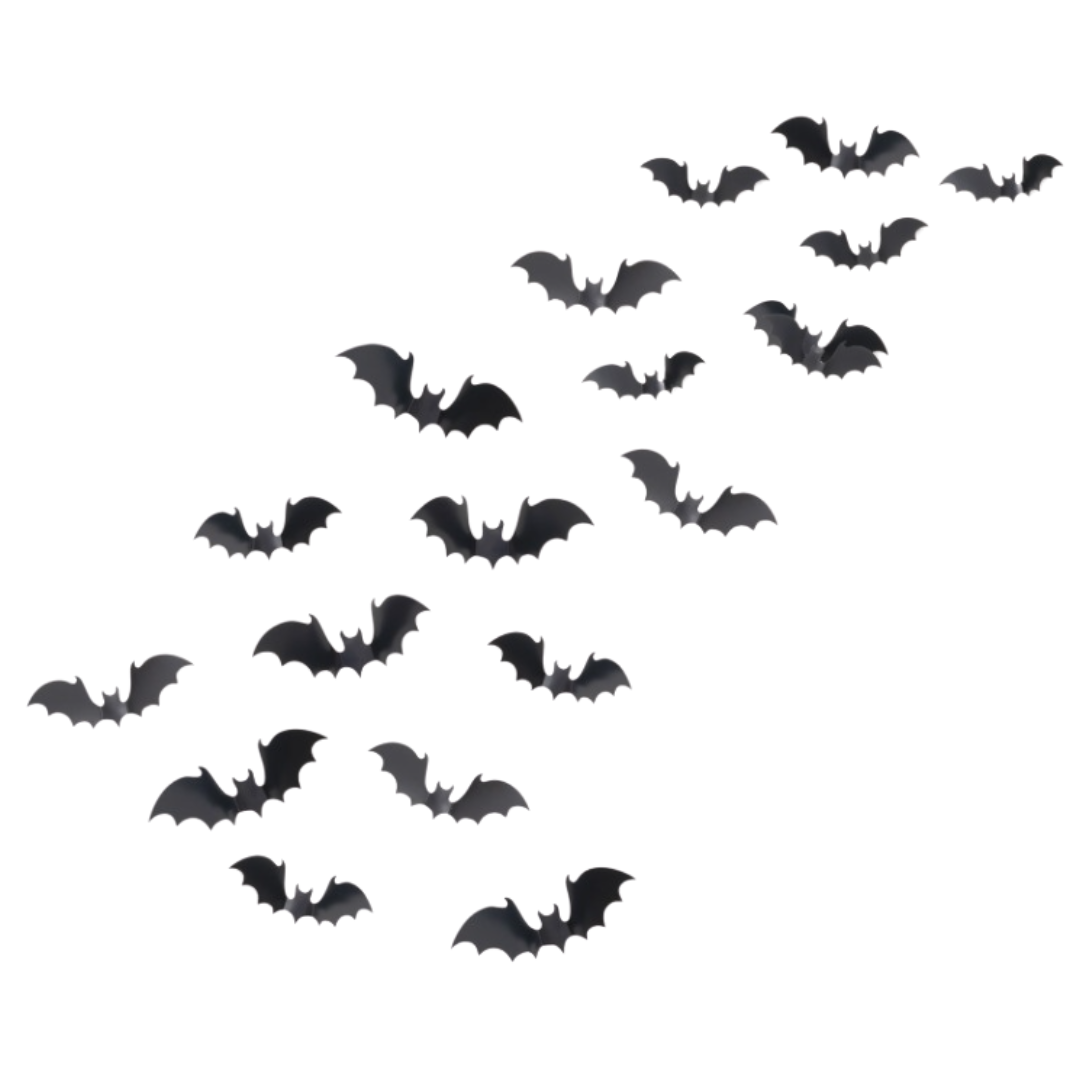 Wall Bat Kit